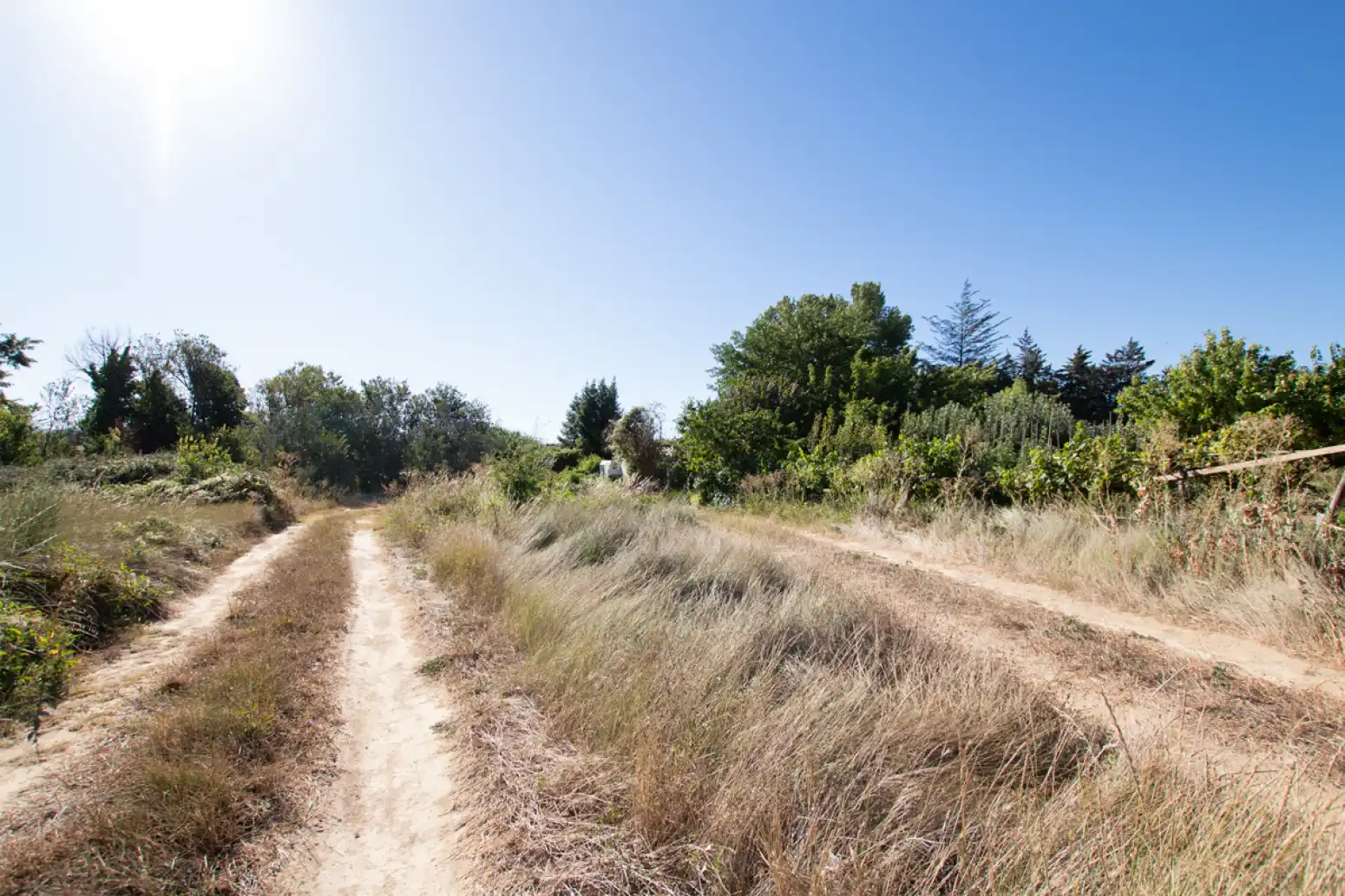 Land for sale in Tafalla - PARAJE MAKOTXA, Tafalla