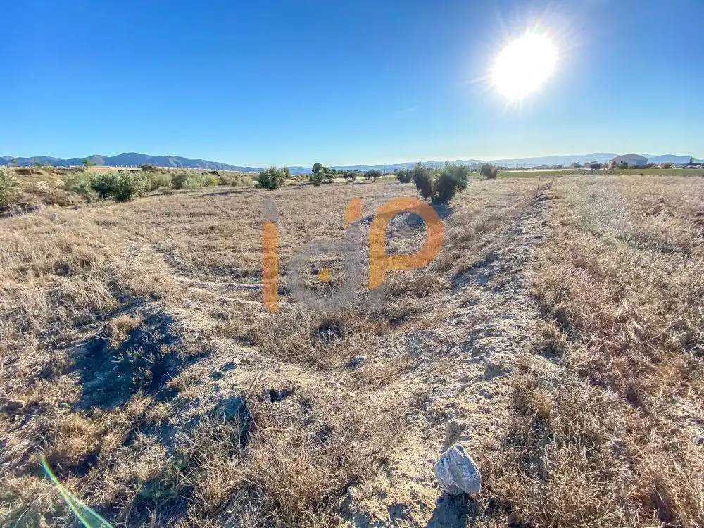 Terrain rustique à vendre à Huércal-Overa, imagen 5