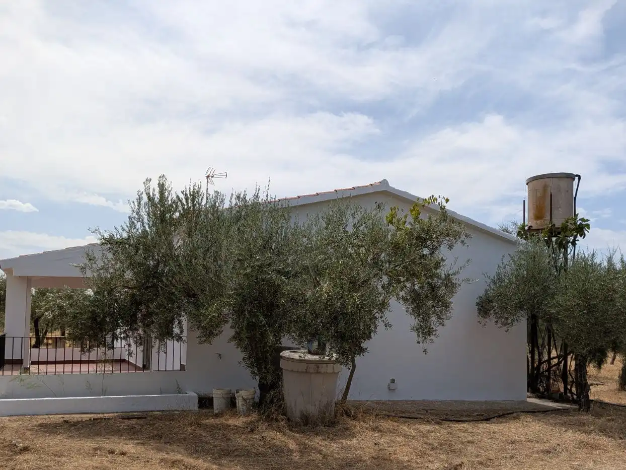 Vista exterior de Terreno en venta en Castuera
