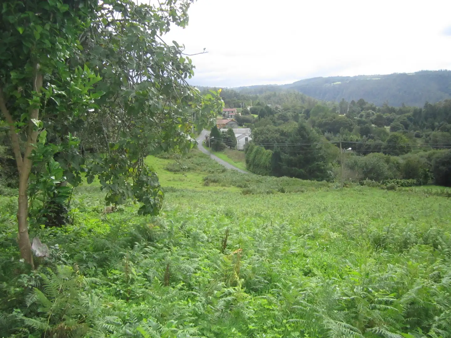 Vista exterior de Casa o chalet en venta en Neda