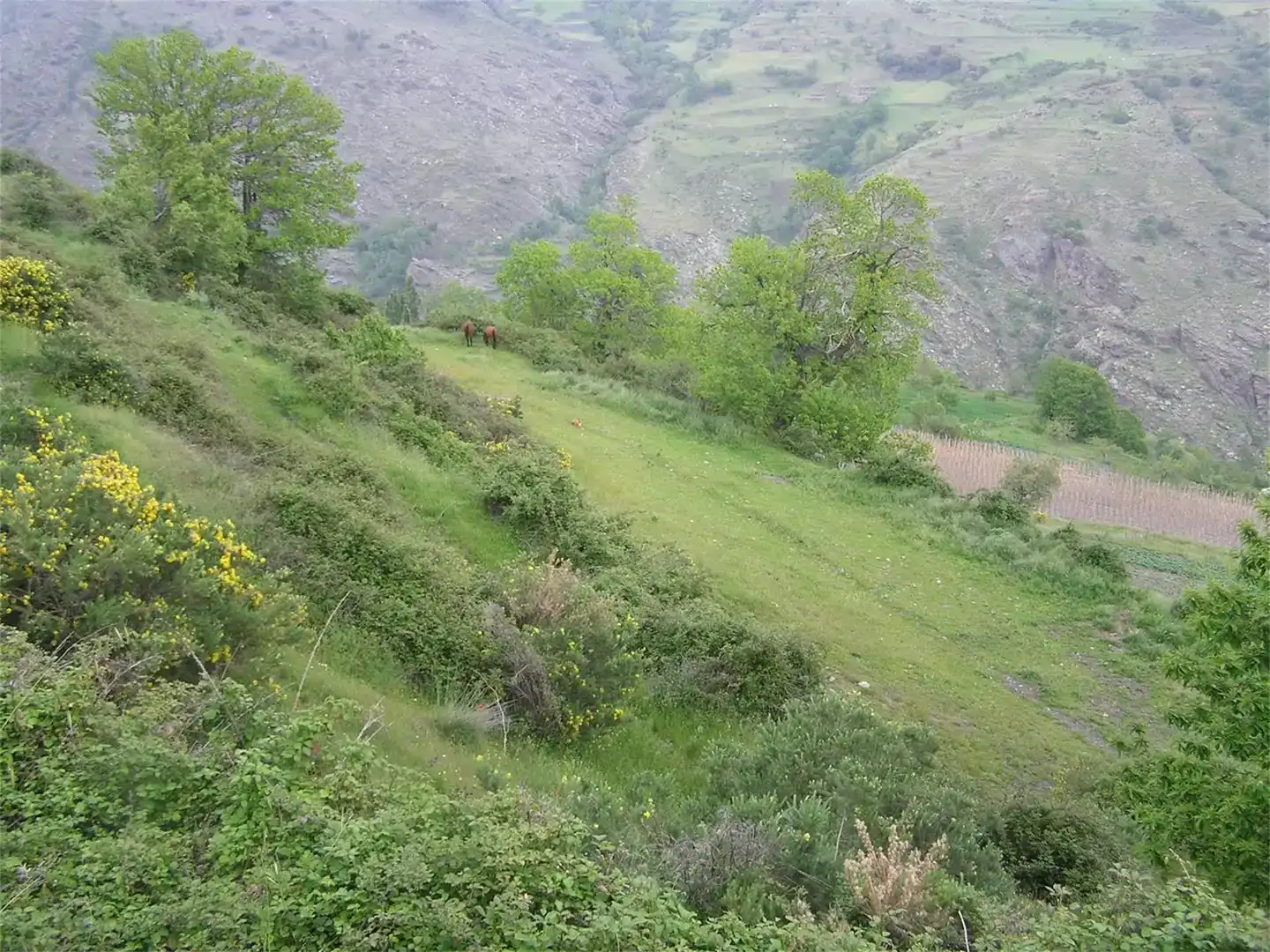 Grundstücke zum Verkauf in Bérchules