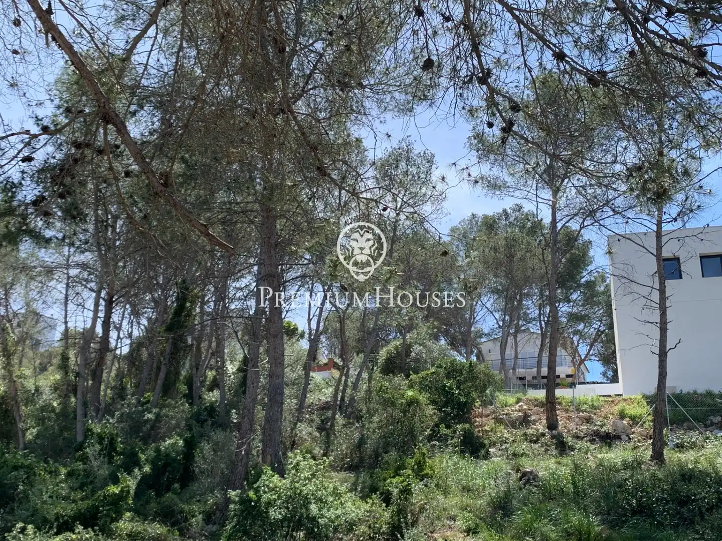 Residential land for sale in Mas Alba, imagen 5