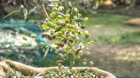 Foto 2 de Residencial en venda a N/a, -1, Rincón de Seca, Murcia