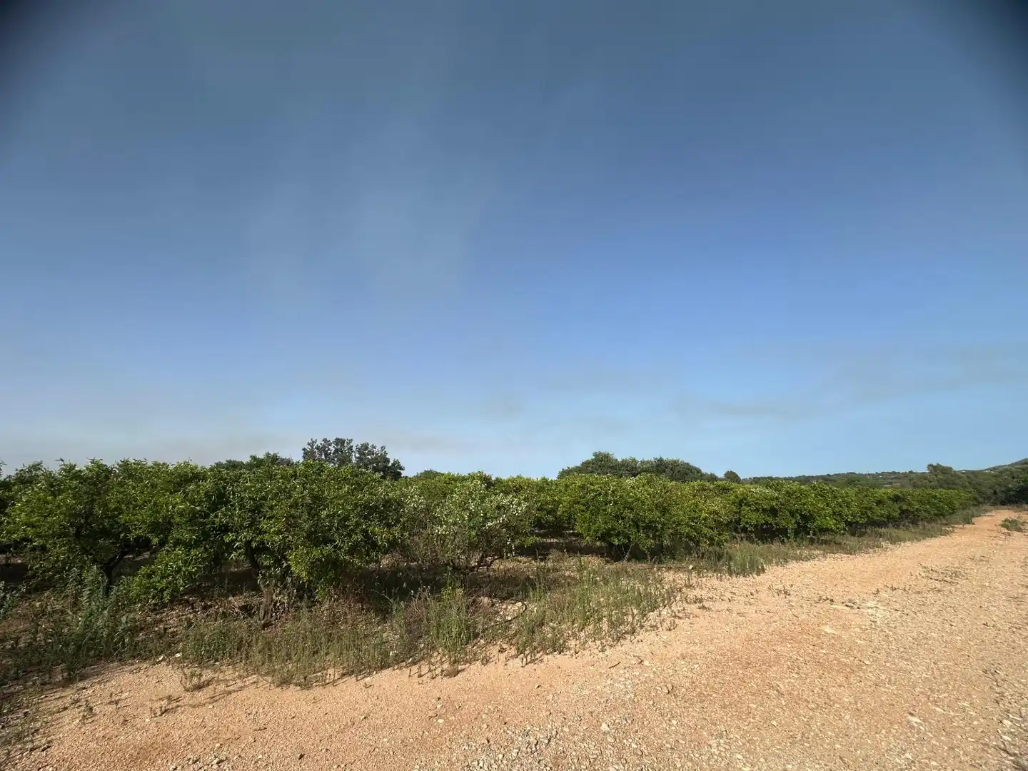 Rural land for sale in Masdenverge, imagen 17