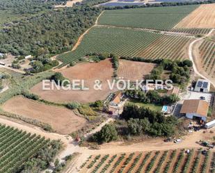 Finca rústica en venda en Puerto Real amb Aire condicionat, Calefacció i Jardí privat