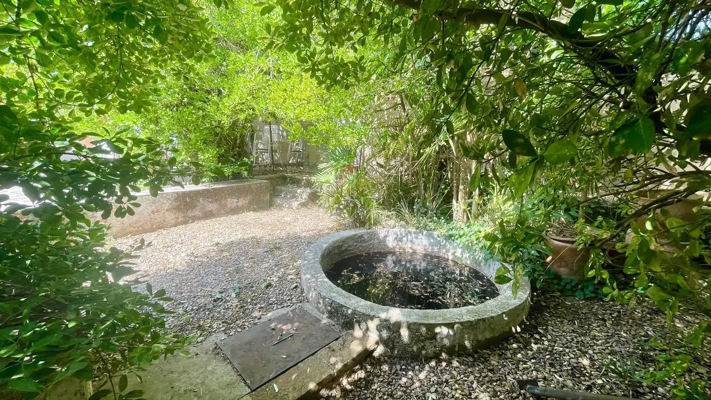 Haus mit Garten zum Verkauf in La Parra, imagen 29