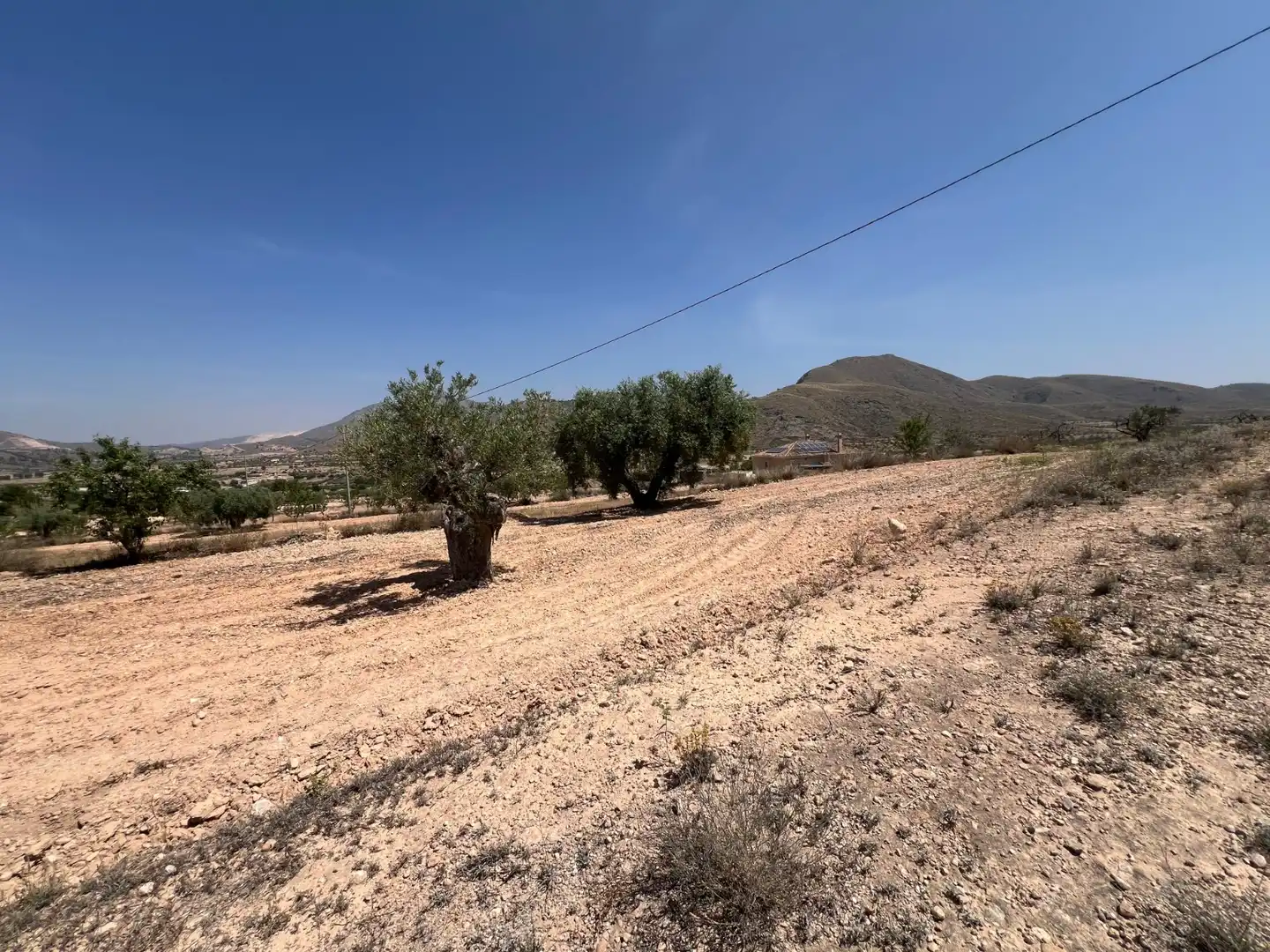 Rural land for sale in La Murada - Los Vicentes, imagen 2