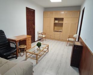 Living room of Flat to rent in  Madrid Capital