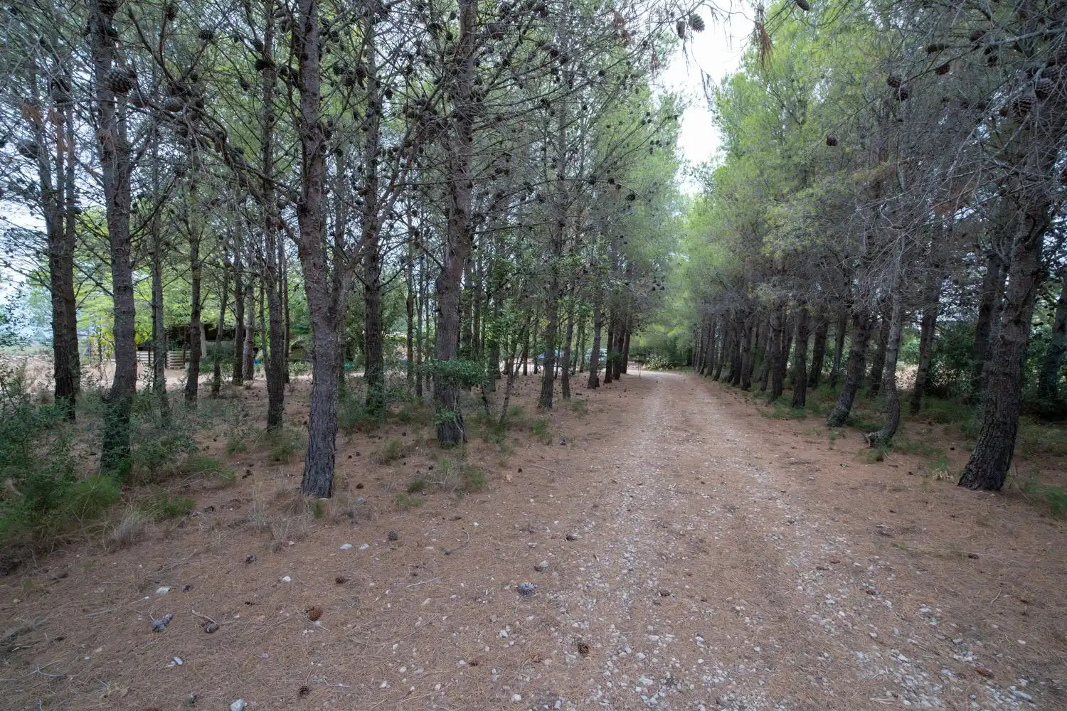 Terrain rustique à vendre à Roquetes, imagen 27