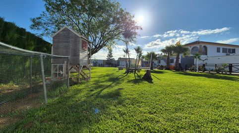 Photo 3 of Houses for sale in Camino Betis, 2, Rinconada, La Rinconada