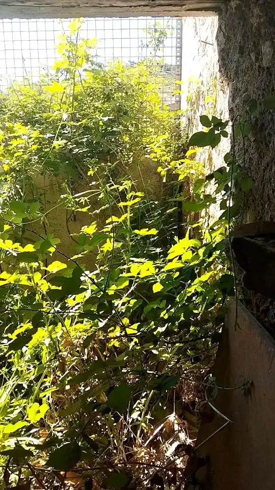 Jardín de Casa o chalet en venta en Utrillas con Terraza, Amueblado y Balcón