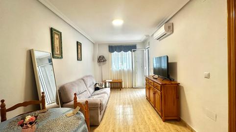 Foto 2 de Planta baixa de lloguer a Avenida Habaneras - Curva de Palangre, Torrevieja