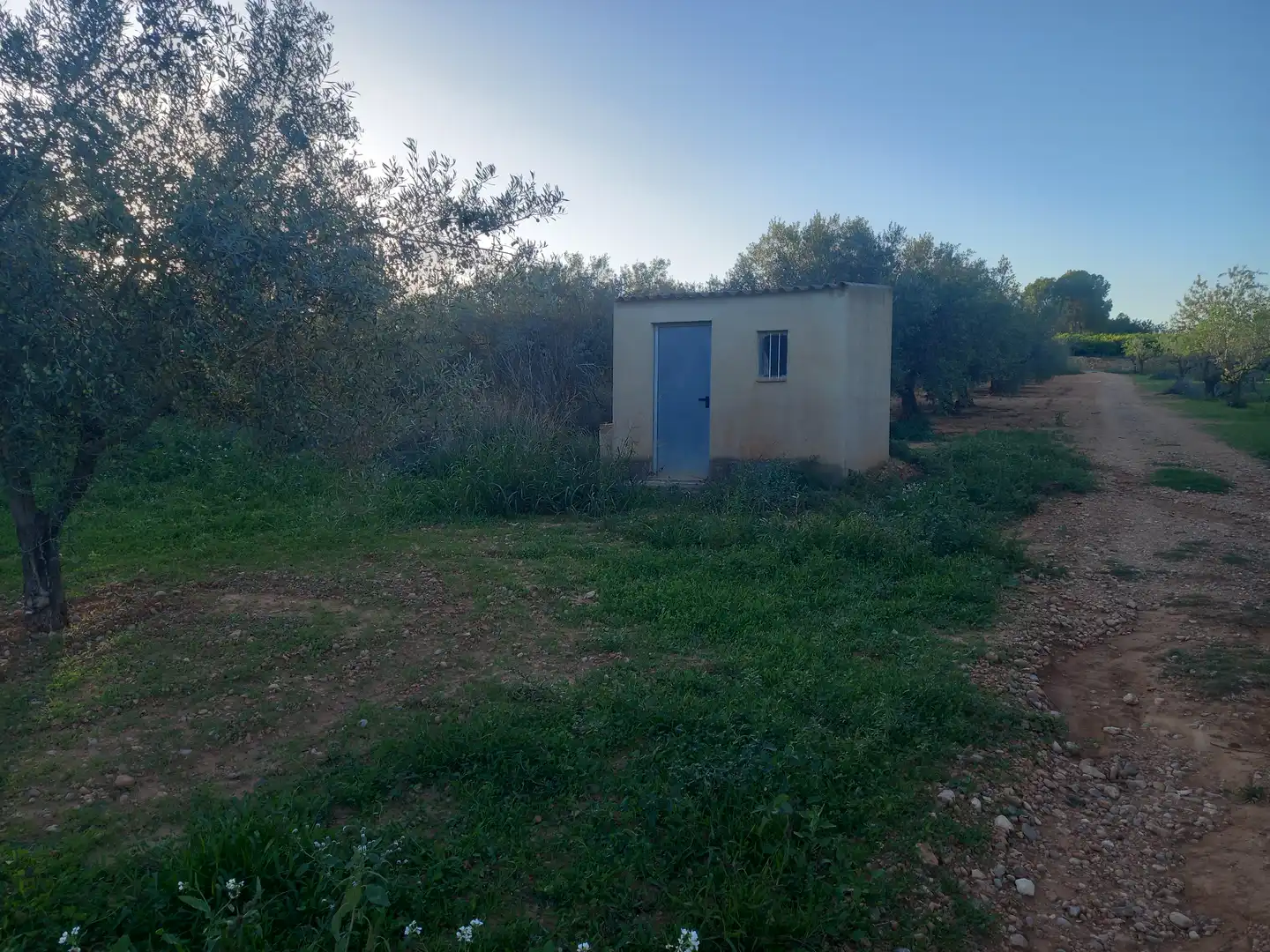 Terreny rústic en venda a Càlig, imagen 5