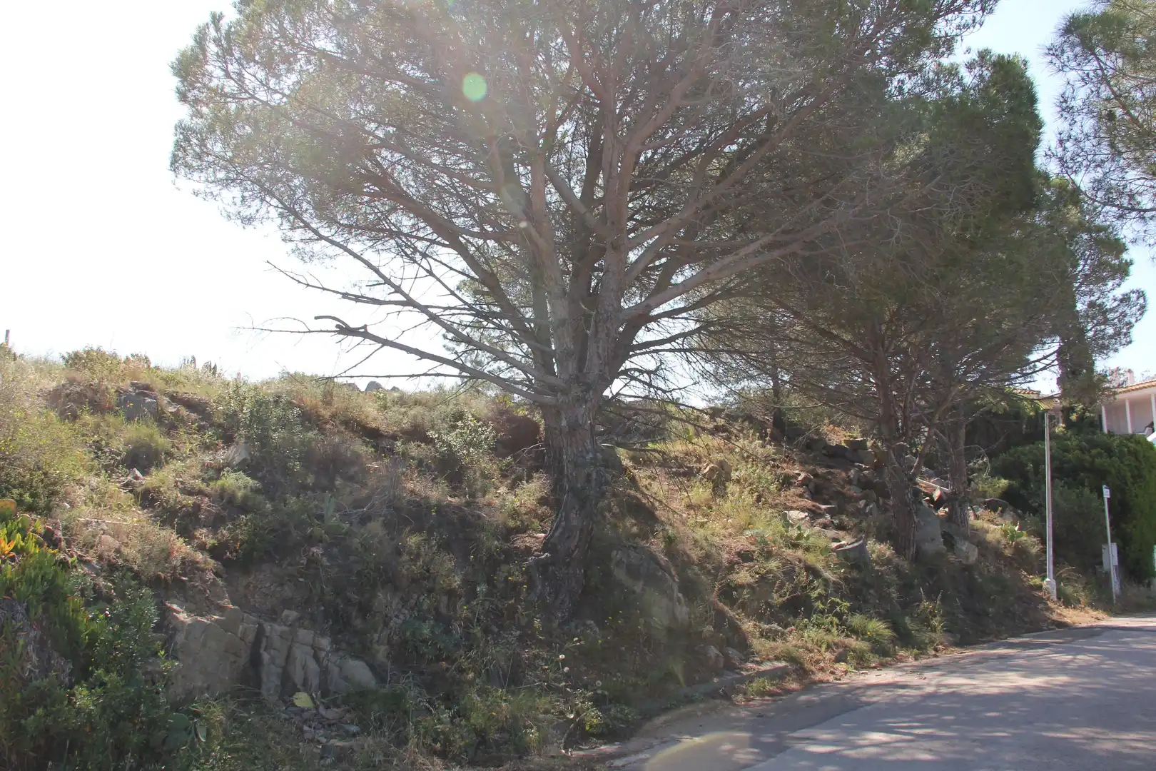 Residencial en venda en El Port de la Selva