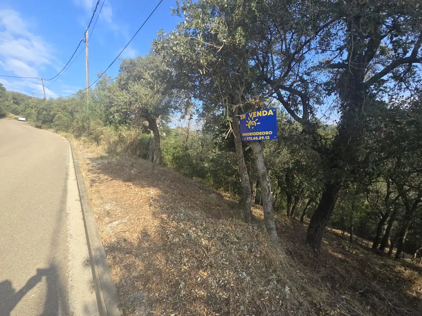 Lands and plots for sale in Olivera, imagen 2