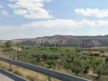 Terreno rustico in affitto a Campos del Río