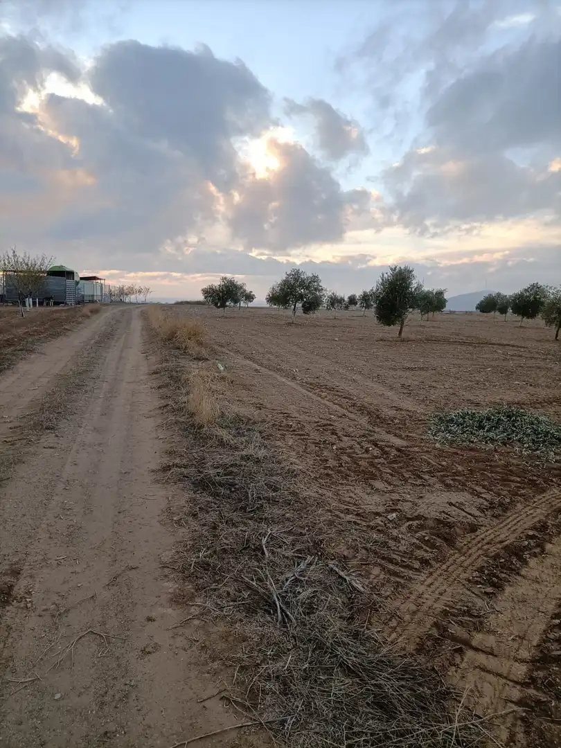 Terreny rústic en venda a Orgaz