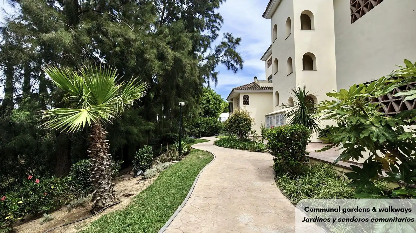 Apartamento con piscina en venta en Alameda de Levante 6, imagen 16