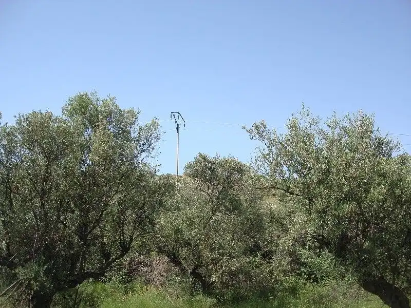 Terreny rústic en venda a Villamediana de Iregua, imagen 4