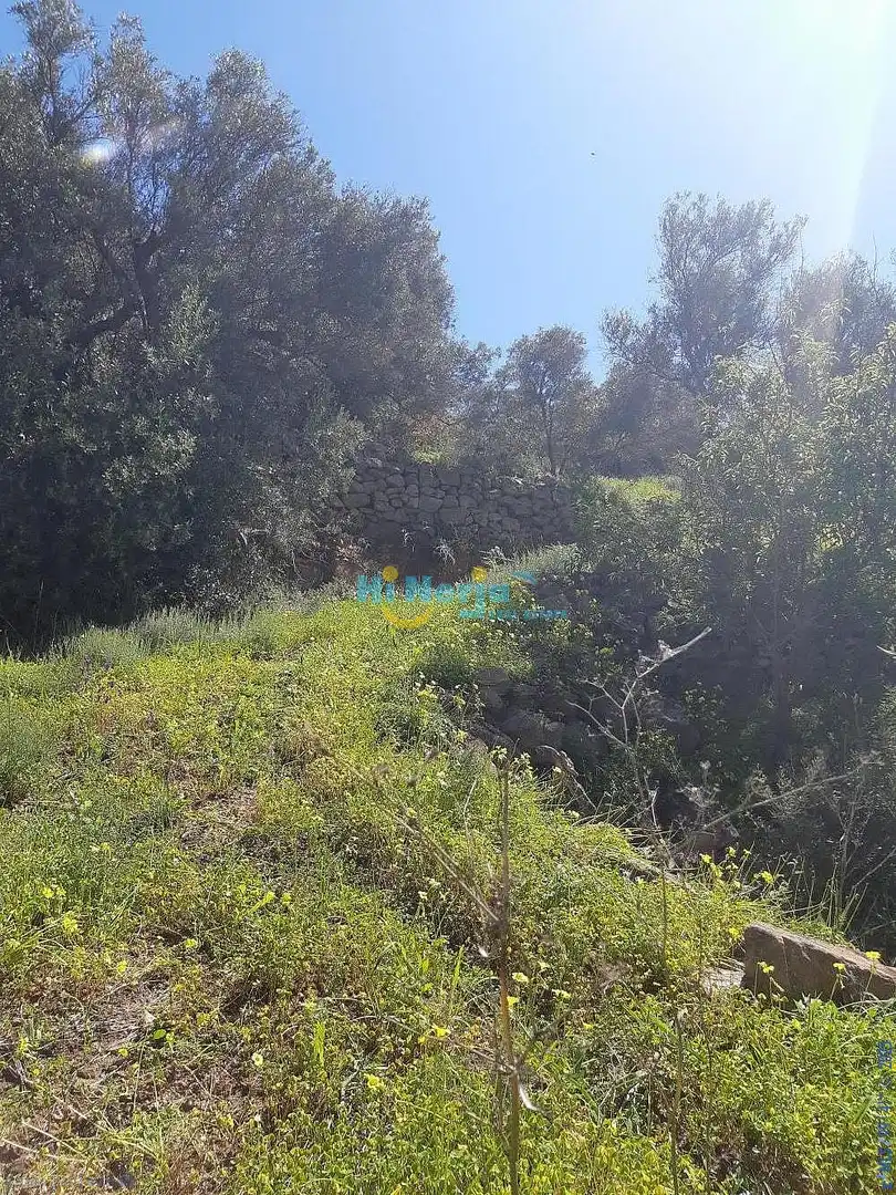 Terreni e lotti in vendita a Torrox Pueblo, imagen 11