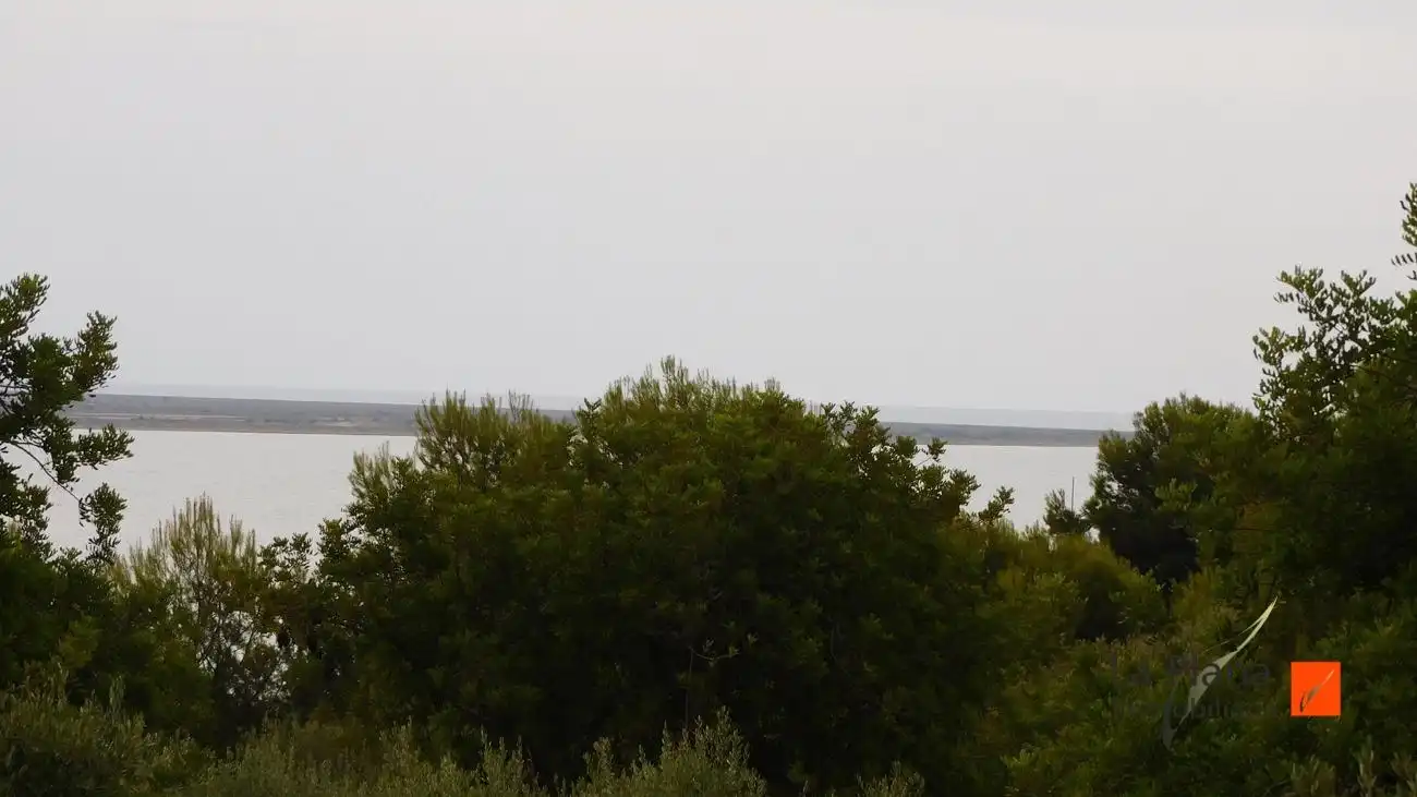 Terreno rustico in vendita a Alcanar, imagen 2
