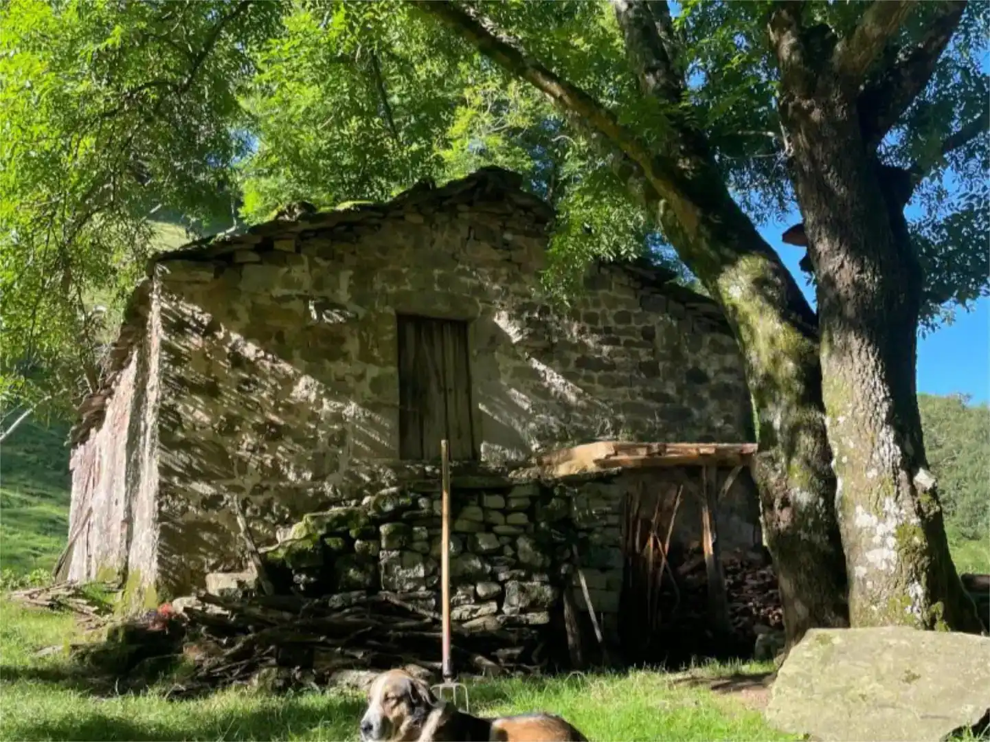 Vista exterior de Finca rústica en venda en Selaya