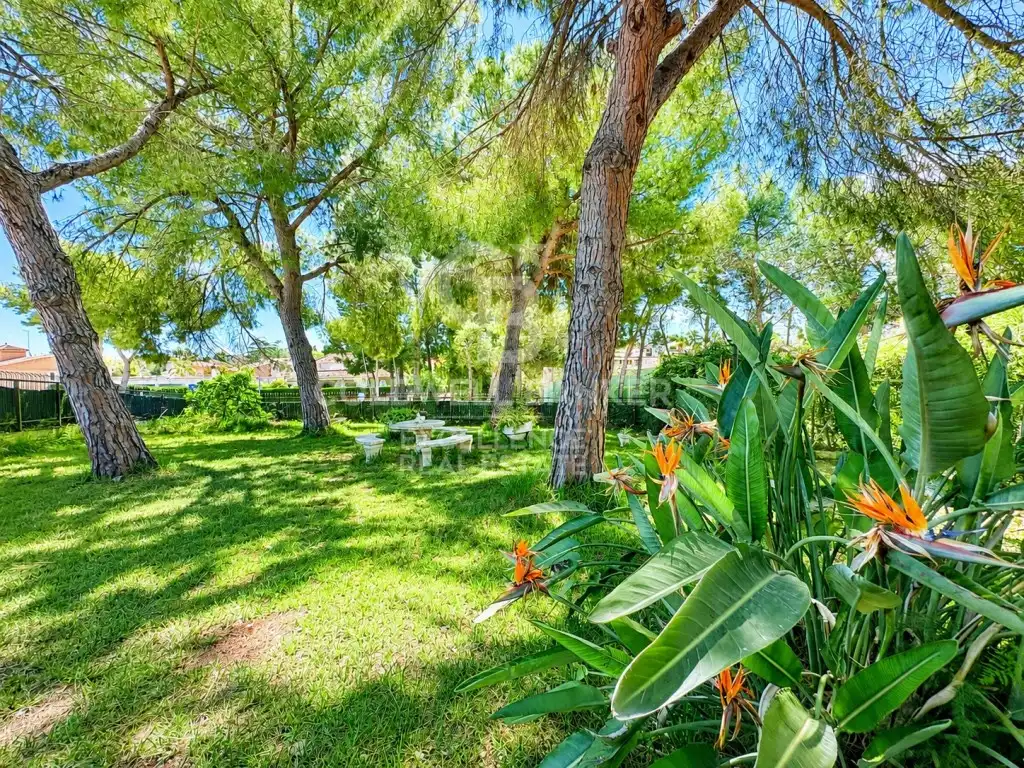 Jardí de Casa o xalet en venda en Torrent amb Aire condicionat, Calefacció i Jardí privat