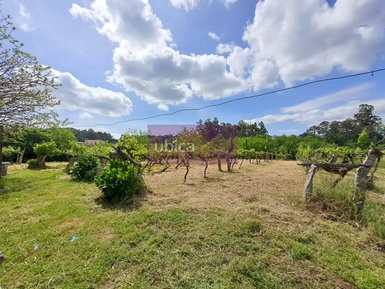 Casa o xalet en venda en Salvaterra de Miño amb Jardí privat i Traster