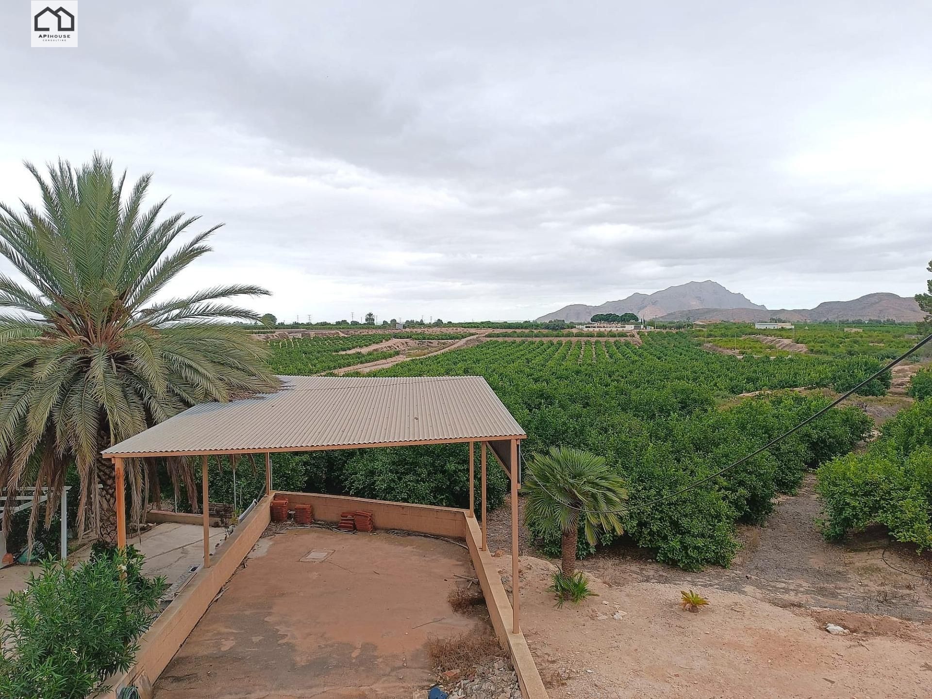 Garden of House or chalet to rent in Orihuela