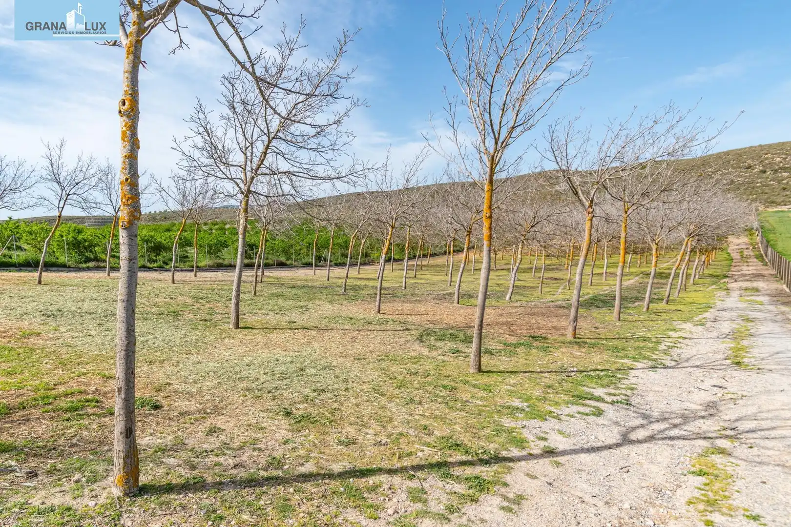 Rural land for sale in 18640, imagen 35