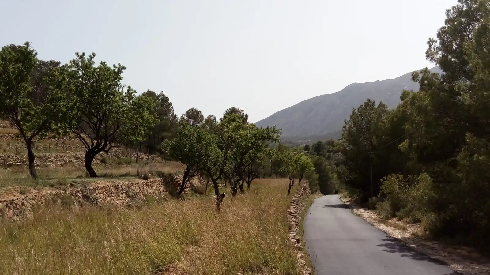 Terrenys i solars en venda a Benissa pueblo, imagen 5
