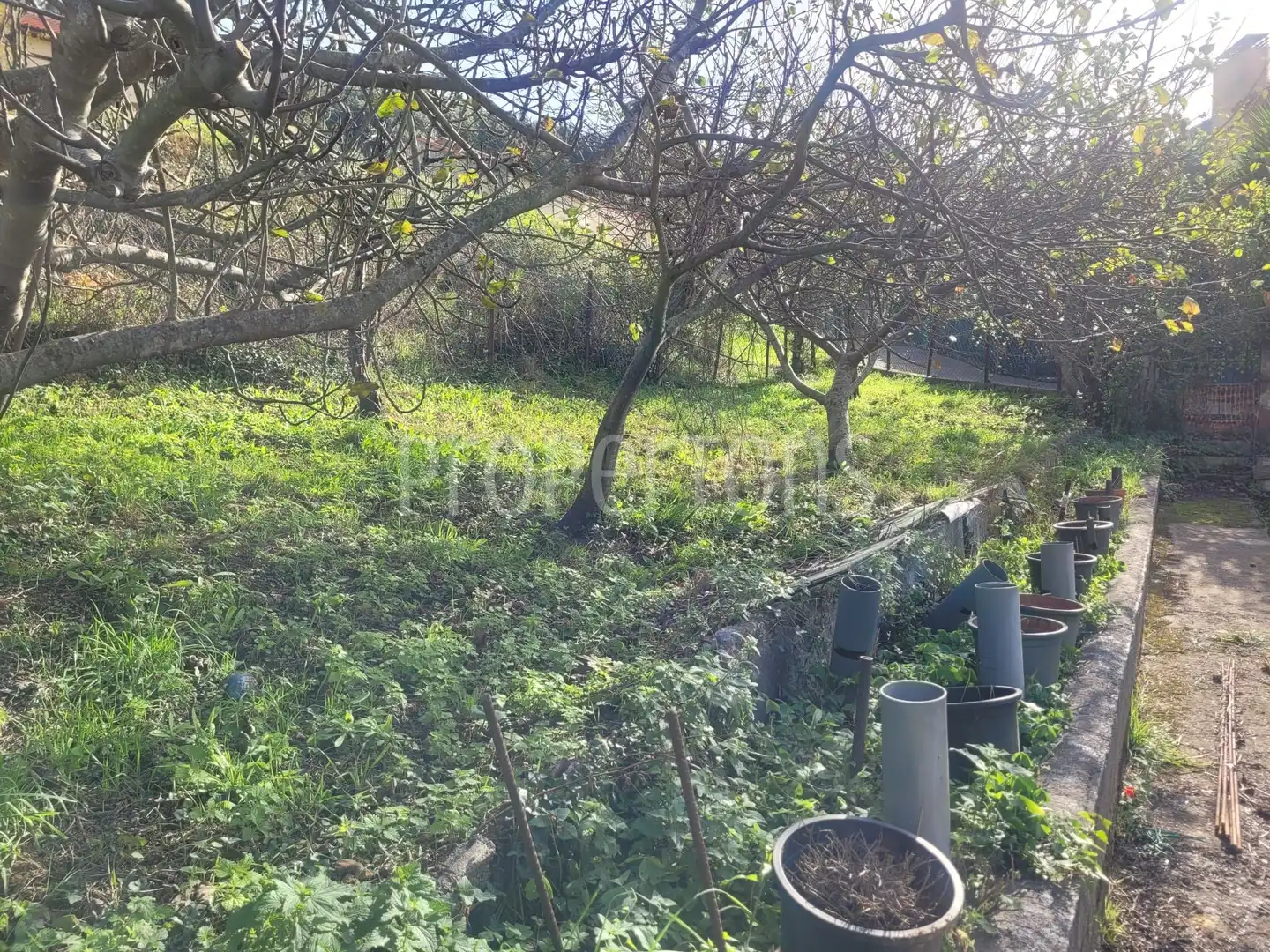 Lands and plots for sale in Otañes-Baltezana-Ontón, imagen 7