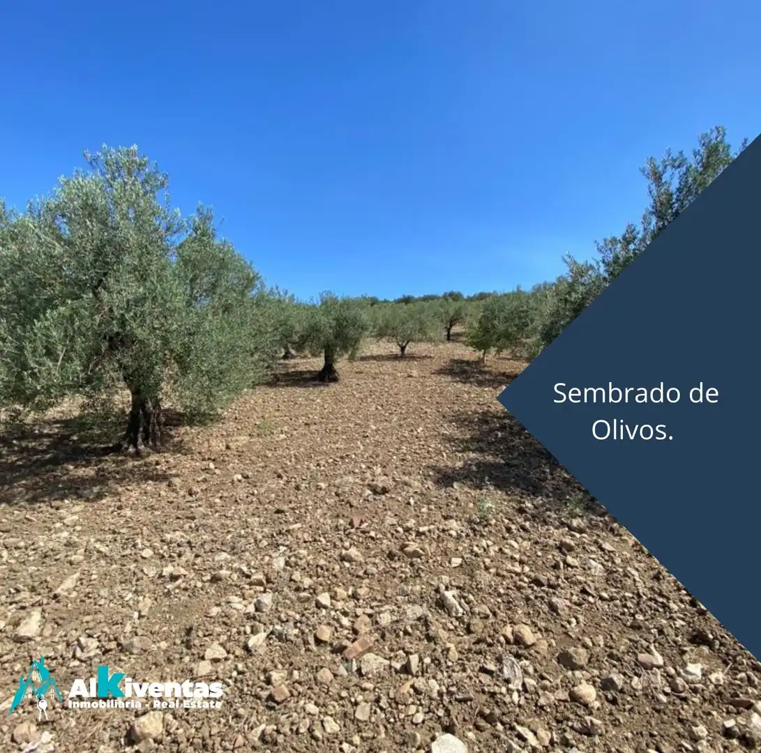 Terreno residencial en venta en Casarabonela, imagen 2