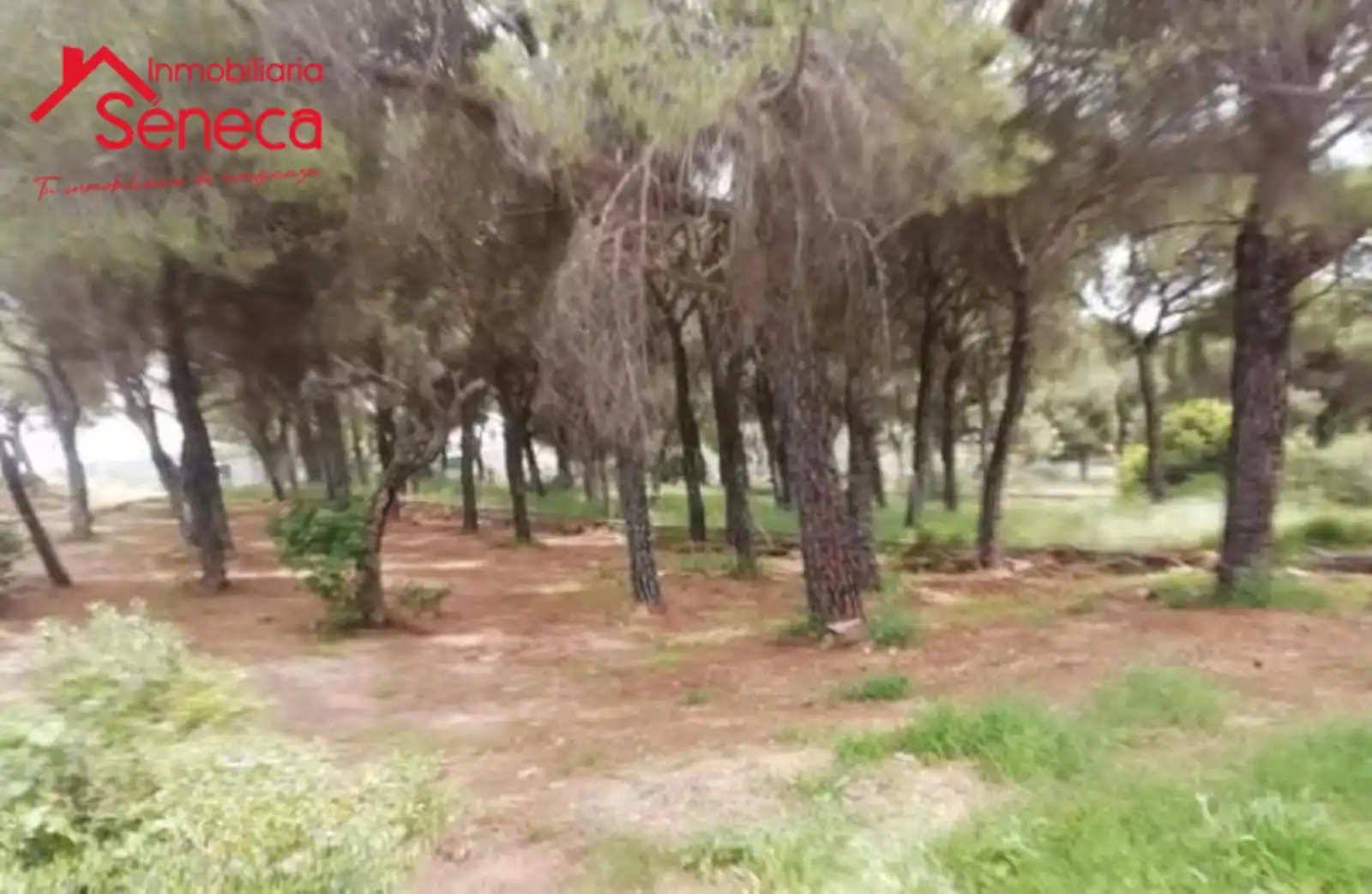 Rustikales Grundstück zum Verkauf in Periurbano Este - Campiña, imagen 3