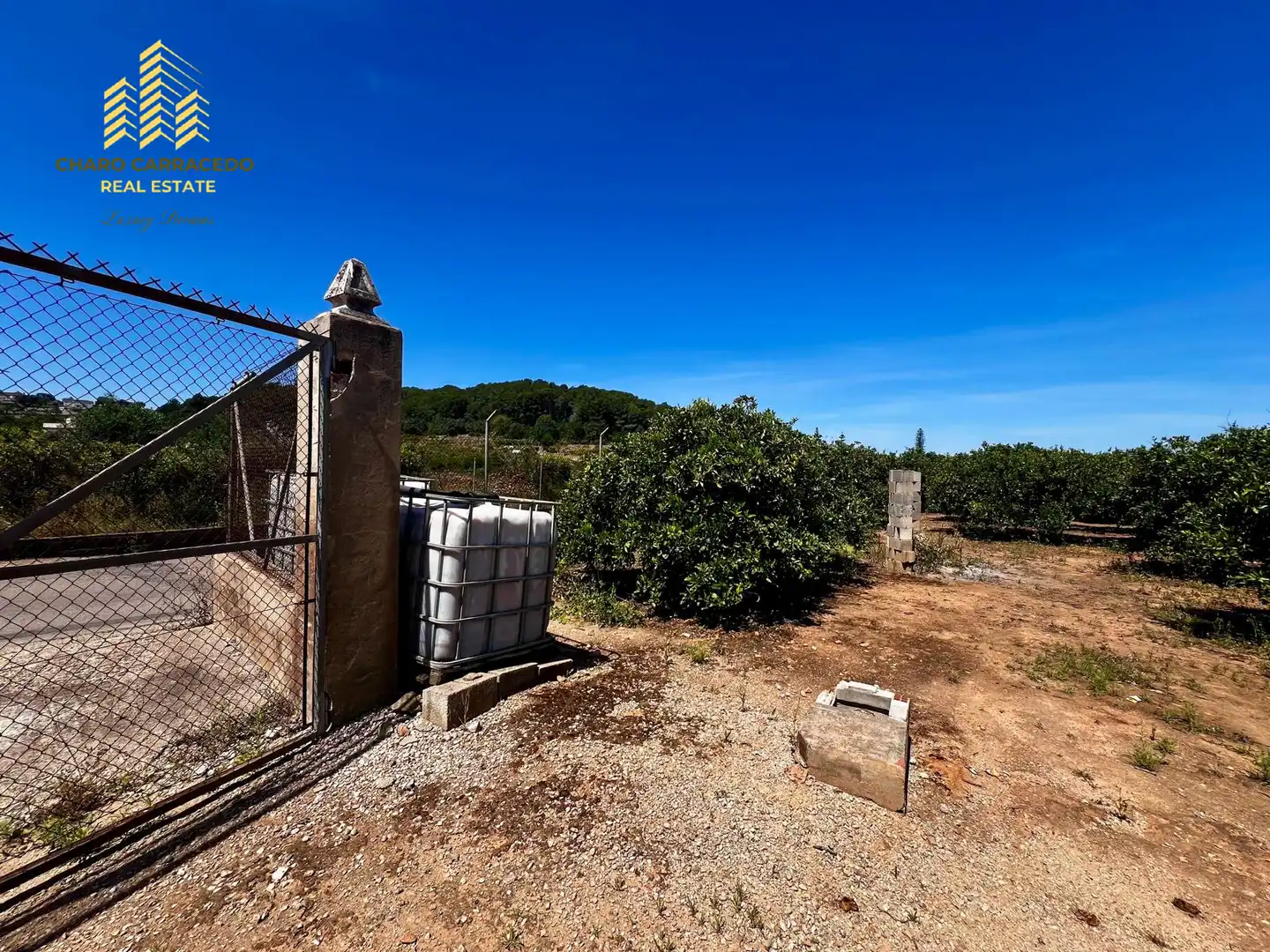 Terreno rústico en venta en Camí de la Murta-Ombria, imagen 10