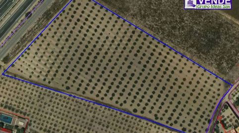 Foto 4 de Finca rústica en venta en Sax, Alicante