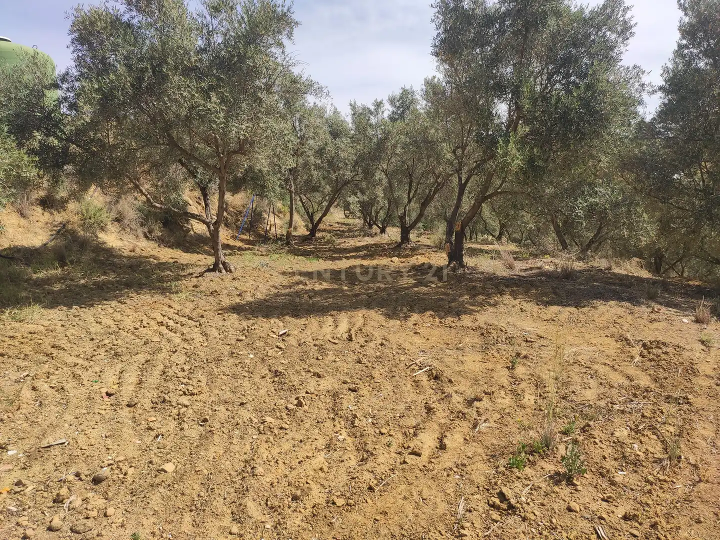Terreni e lotti in vendita a poligono 3- parcela 102 0, imagen 6