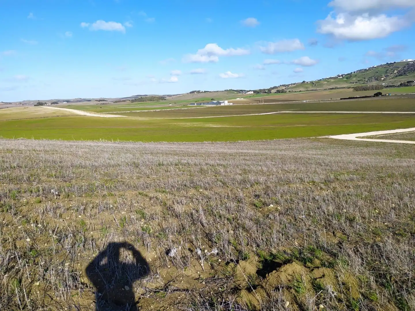 Terreny rústic en venda a Medina Sidonia, imagen 2