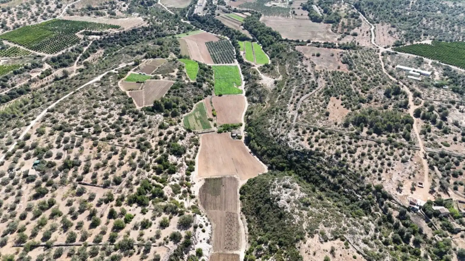 Terreno rustico in vendita a Benifallet - carretera C12, imagen 23