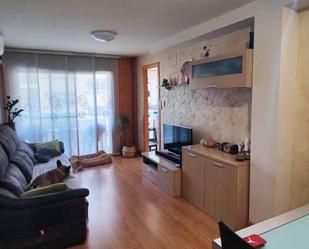 Living room of Duplex for sale in Vallirana  with Air Conditioner, Heating and Parquet flooring