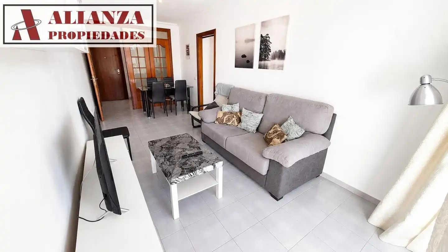 Living room of Flat for rent in Málaga  with Air Conditioner, Terrace and Furnished