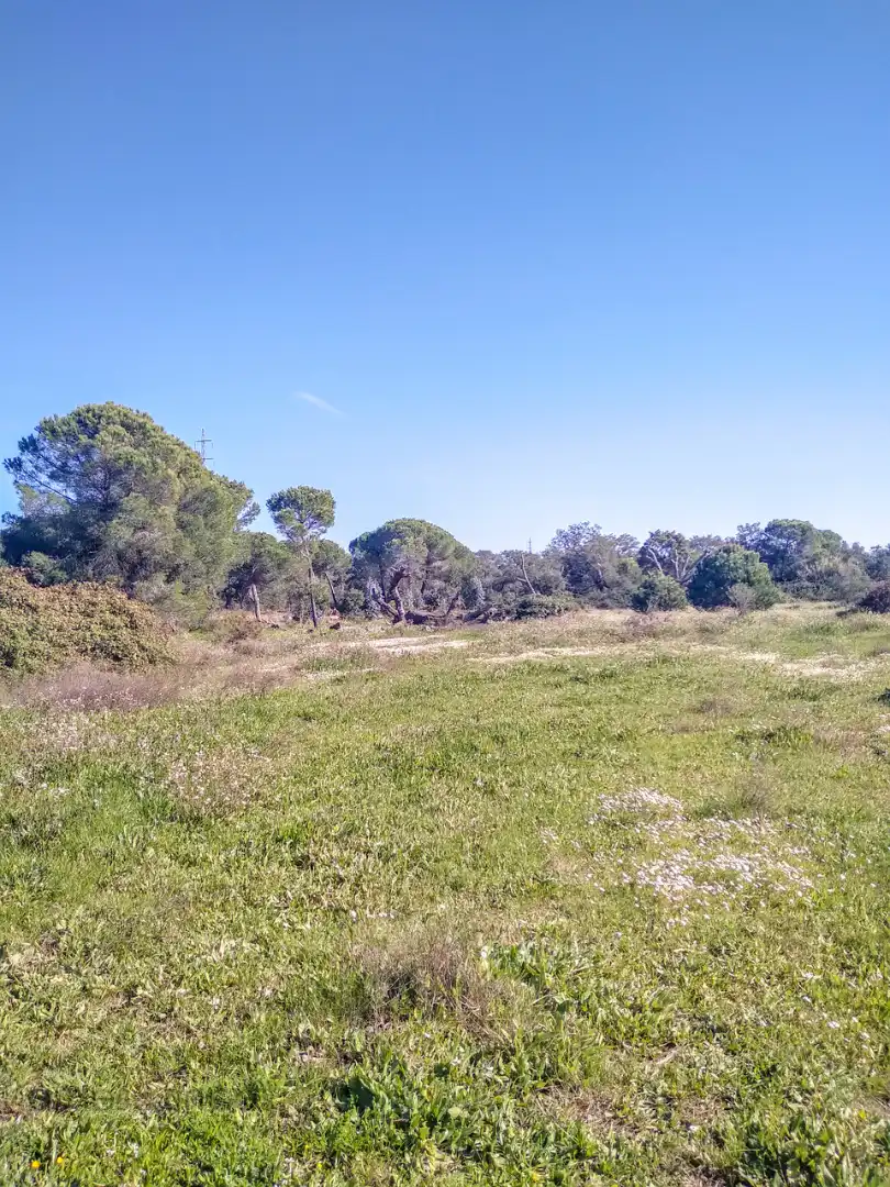 Finca rústica en venda en Villablanca