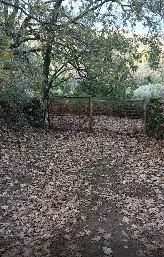 Terreni e lotti in vendita a Villanueva de la Vera, imagen 13