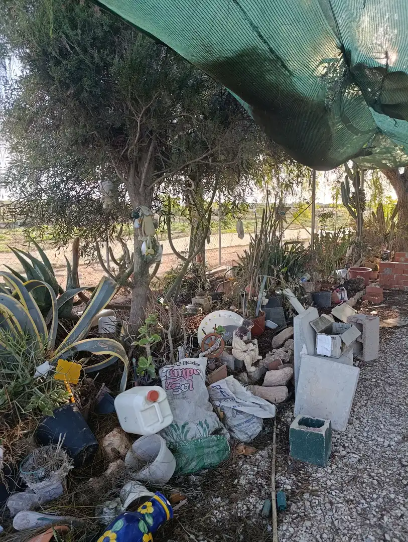 Terrain rustique à vendre à La Marina, imagen 30
