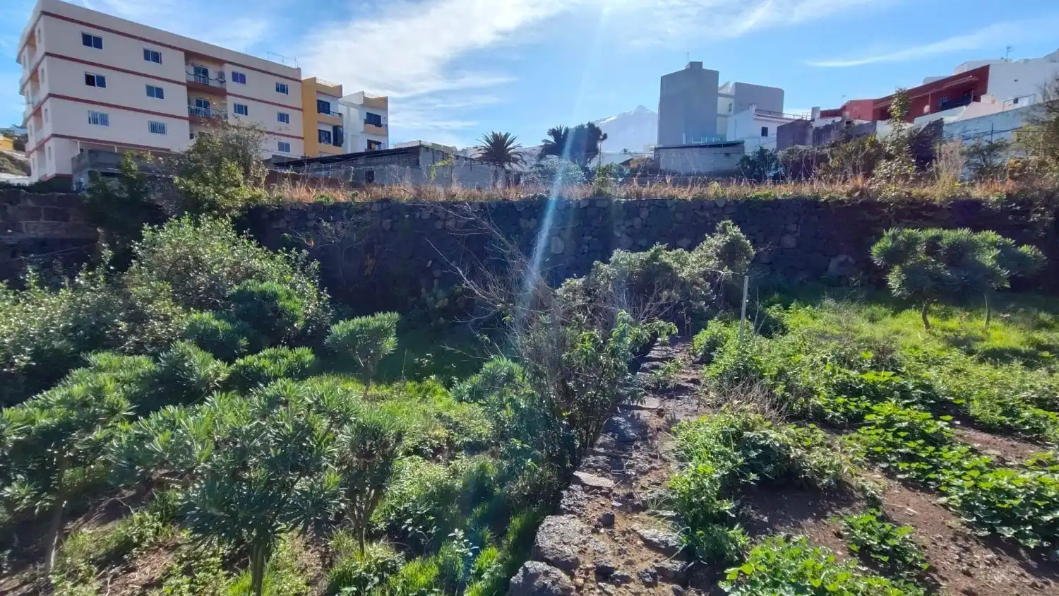 Houses for sale in Icod de los Vinos  with Storage room and Furnished