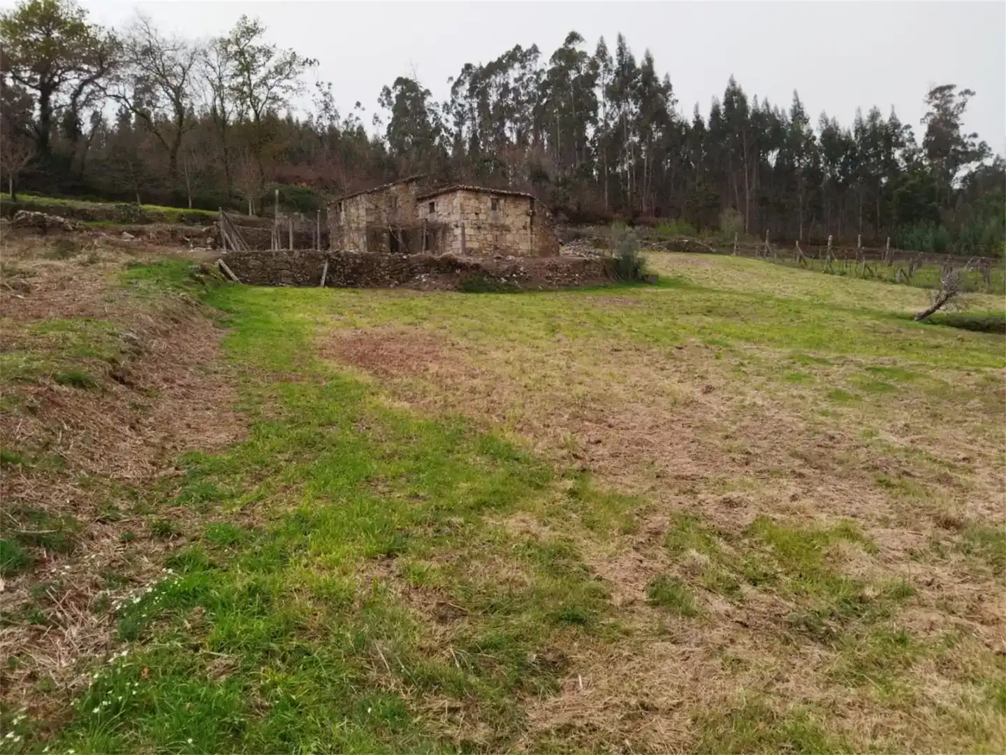 Finca rústica en venta en Cuntis