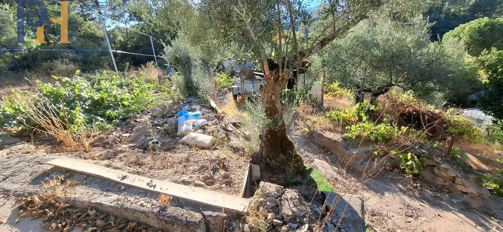 Maison à vendre à Arenas de San Pedro, imagen 16