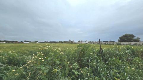 Foto 5 de Terreno en venta en Carretera Urbanizacion de Roche, 52, Roche, Cádiz