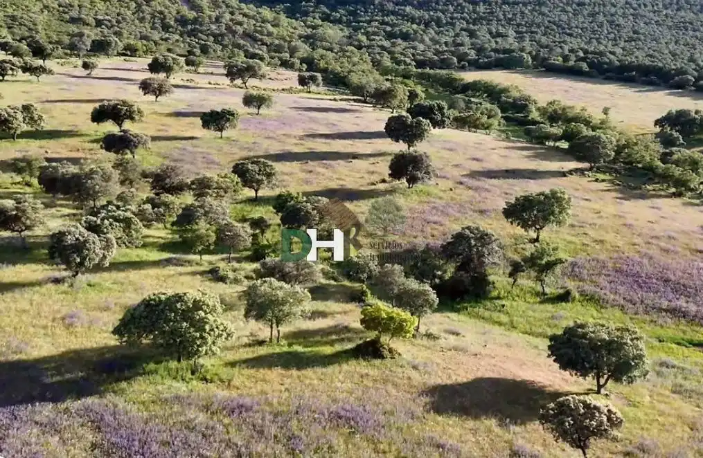 Terrenos y solares en venta en Nuevo Hospital, imagen 5