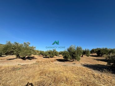 Terreno rústico en venta en Torredonjimeno